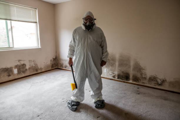 Mold Testing and Removal in Howey In The Hills, FL